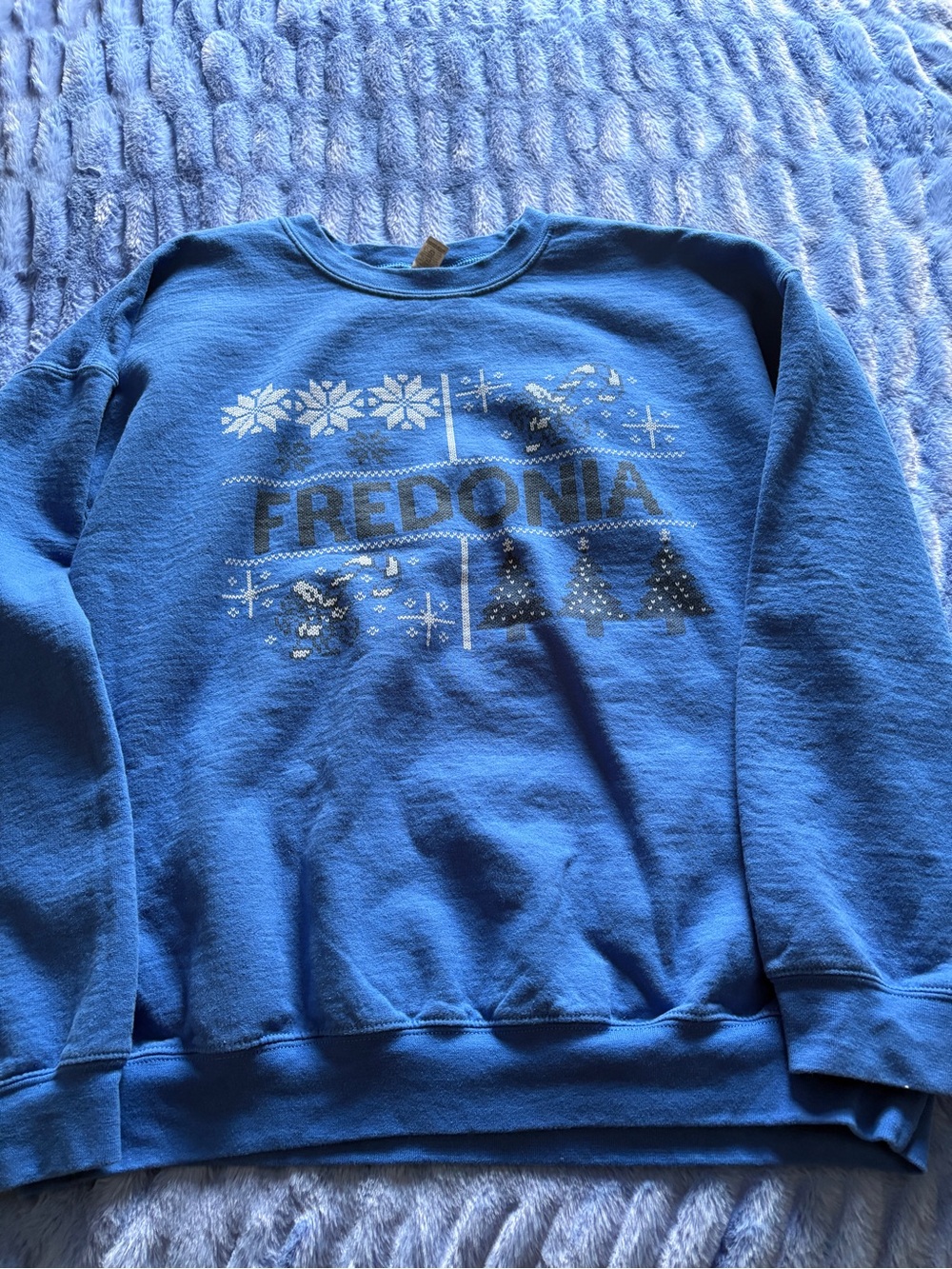 Hanes Royal Blue Crewneck Sweatshirt
